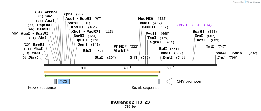 110280_map