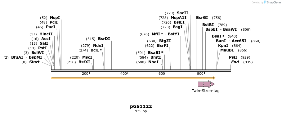 110281_map
