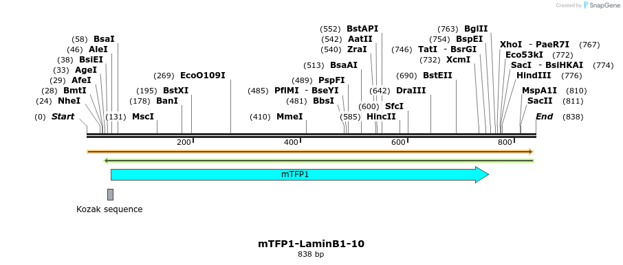 110283_map