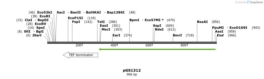 110284_map