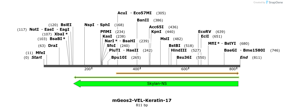 110285_map