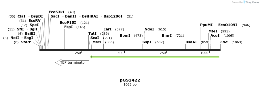 110290_map