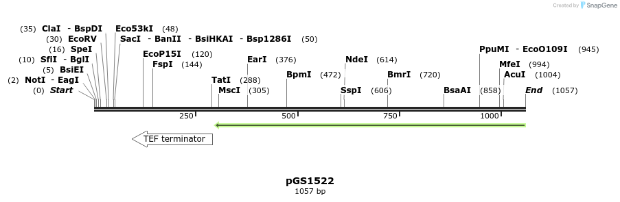 110296_map
