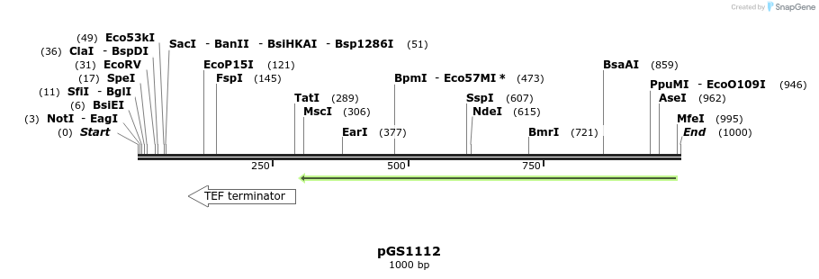 110298_map