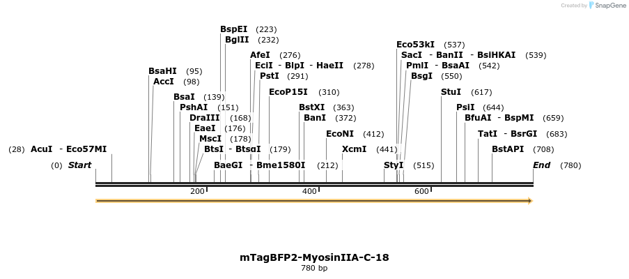 110299_map