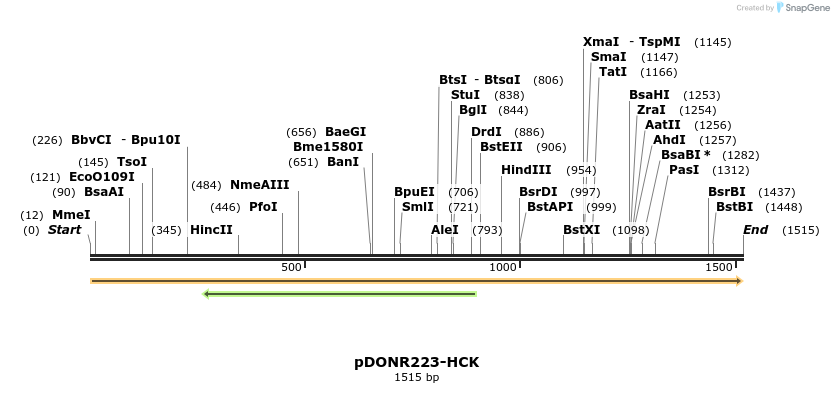 11030_map