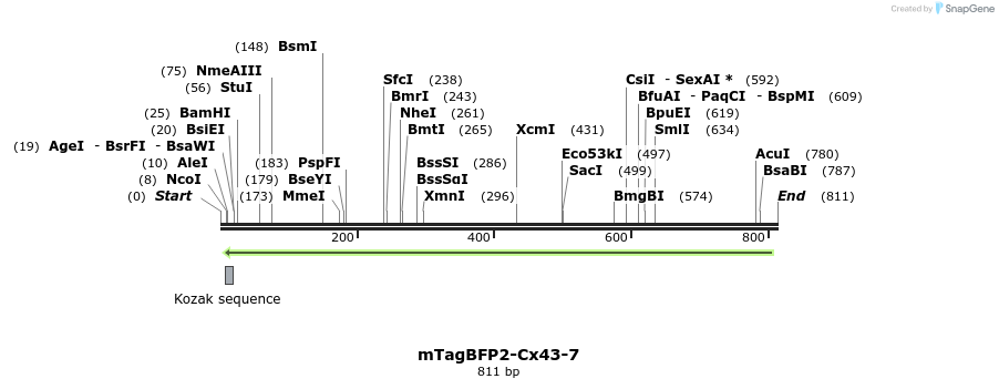 110301_map