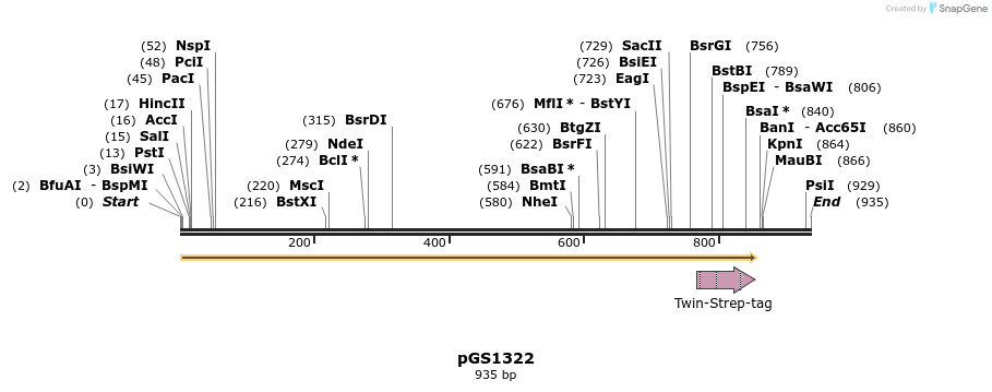 110304_map