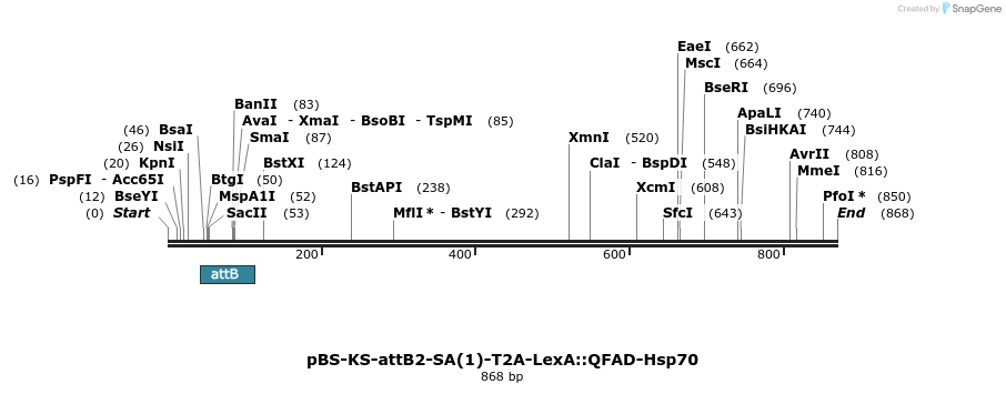 110306_map