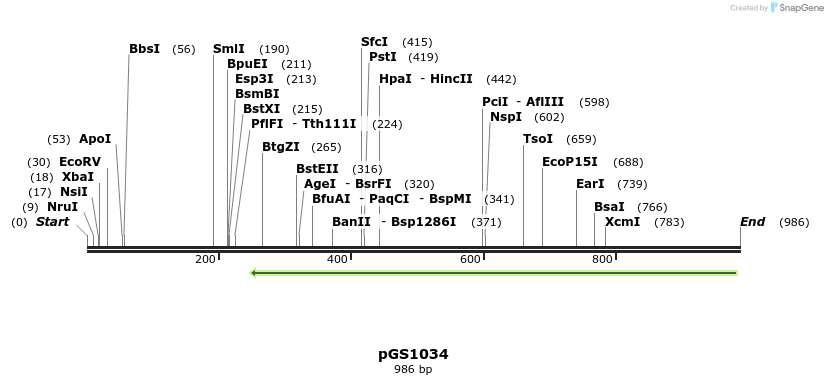 110307_map