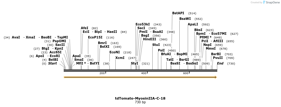 110308_map