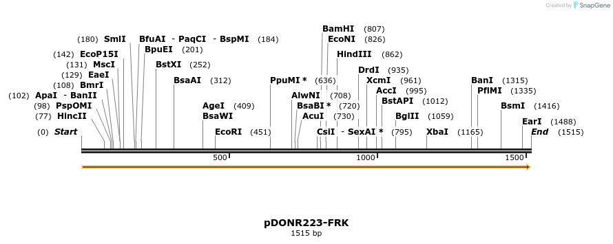 11031_map