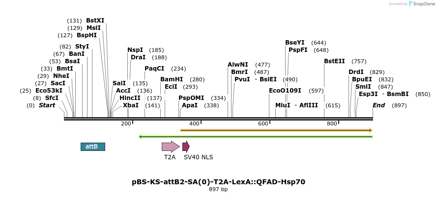 110313_map