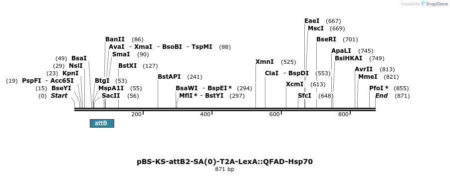 110314_map
