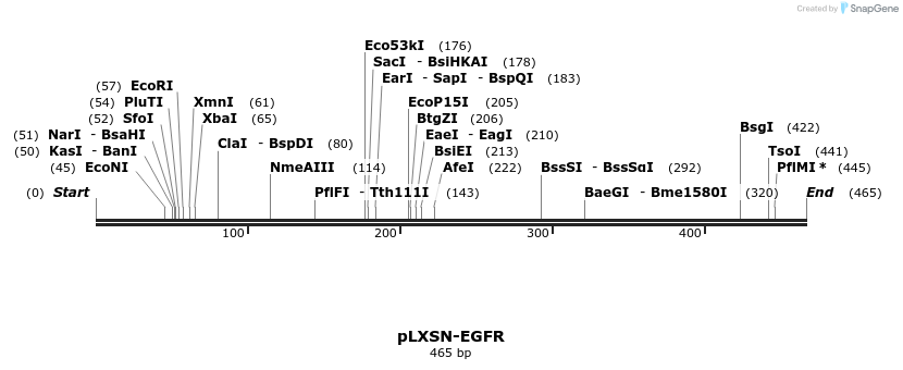 110330_map