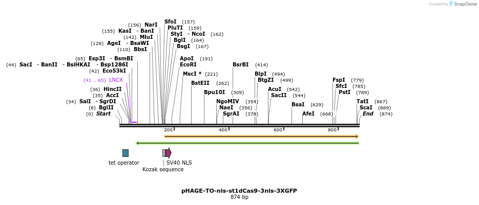 110332_map