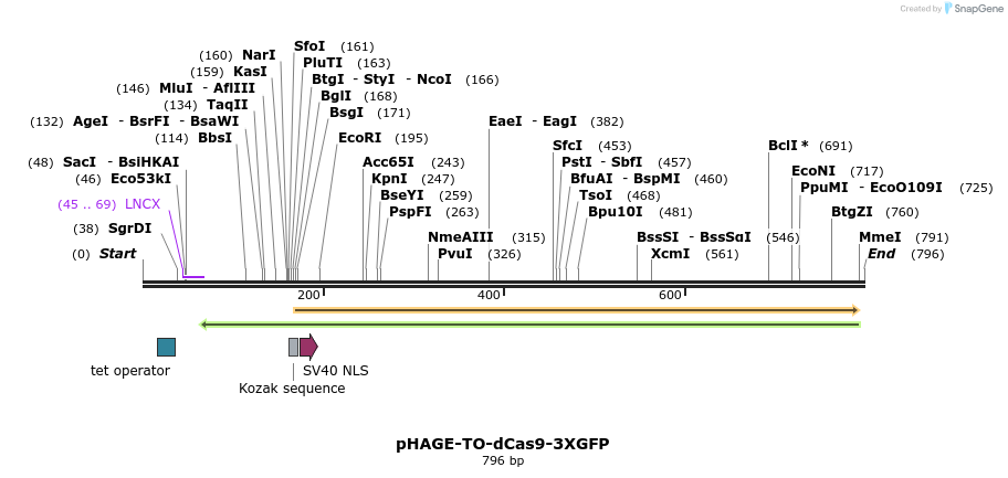 110337_map
