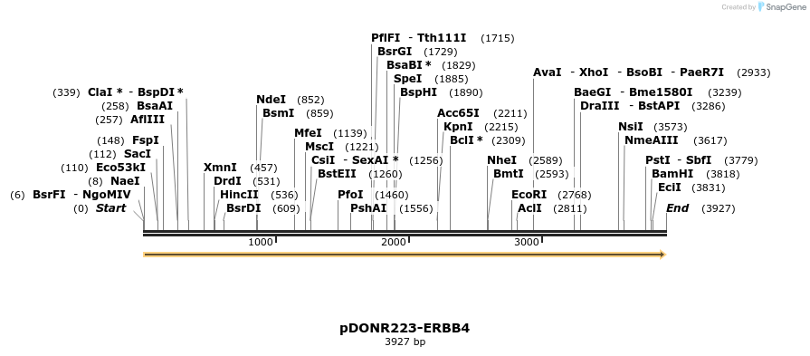 11034_map