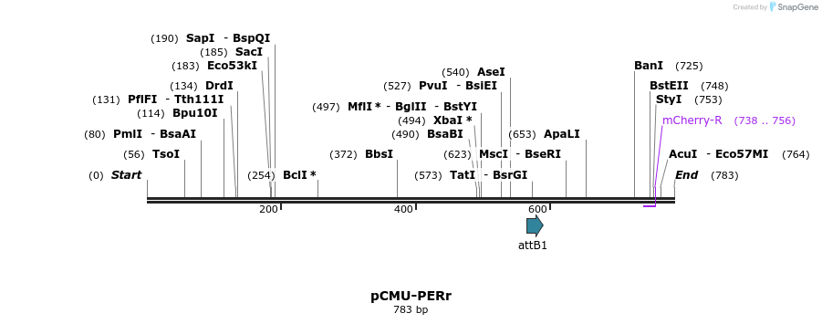 110344_map