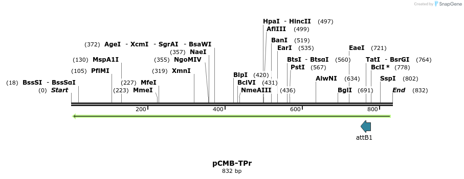 110353_map
