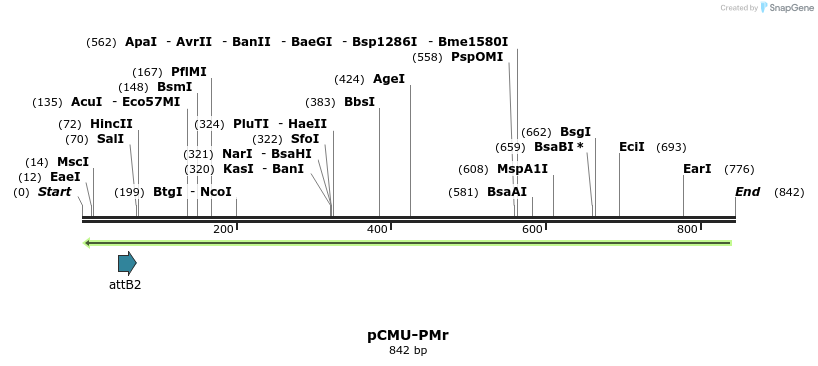 110358_map