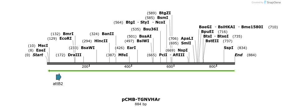 110365_map