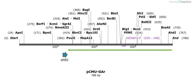 110369_map