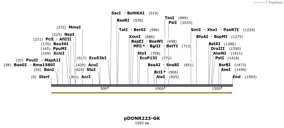 11037_map