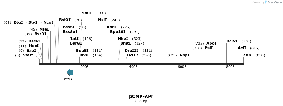 110370_map