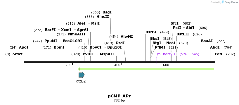 110371_map