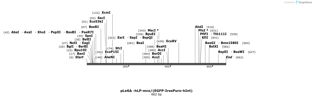 110388_map