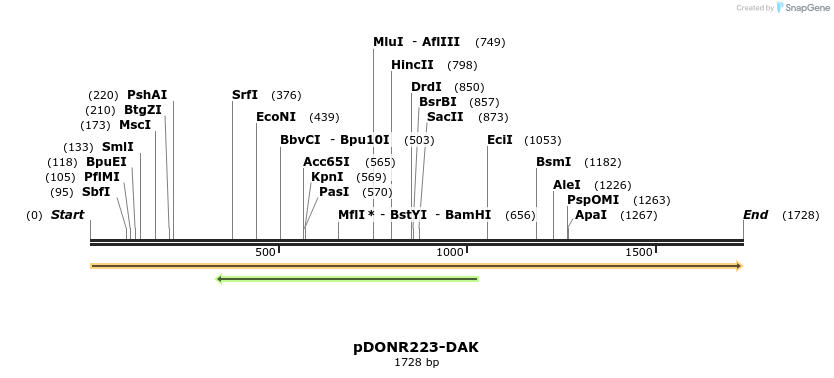 11039_map