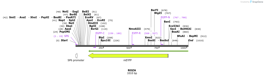110399_map
