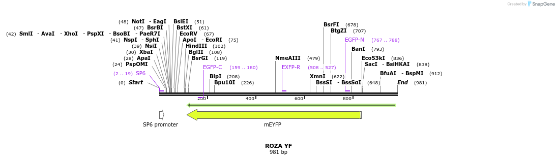 110403_map