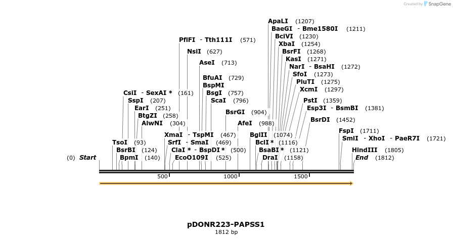 11041_map