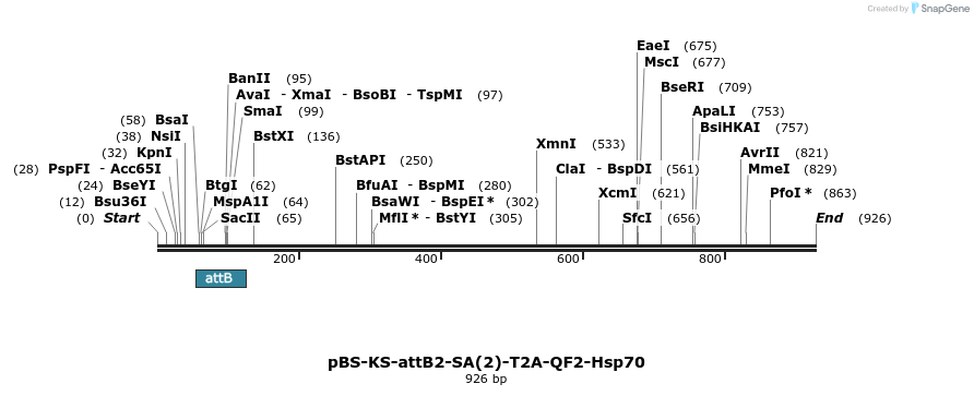 110410_map