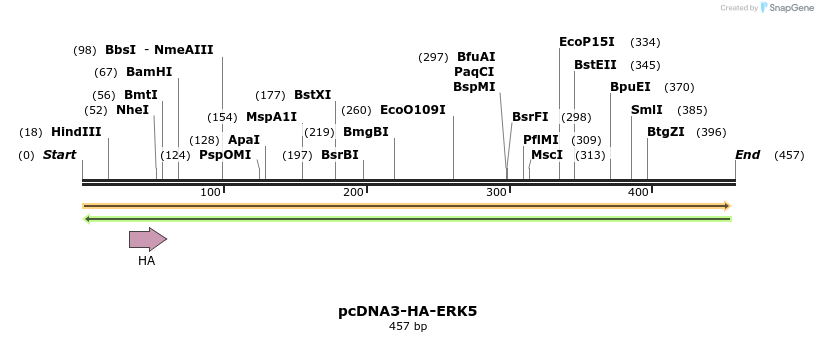 110414_map