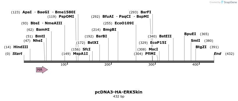 110416_map