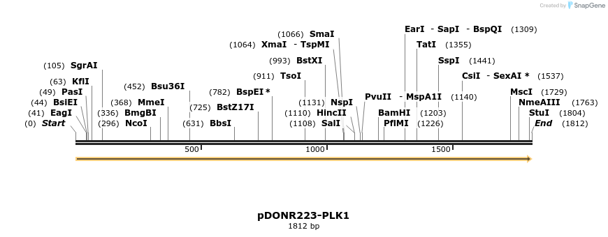 11042_map