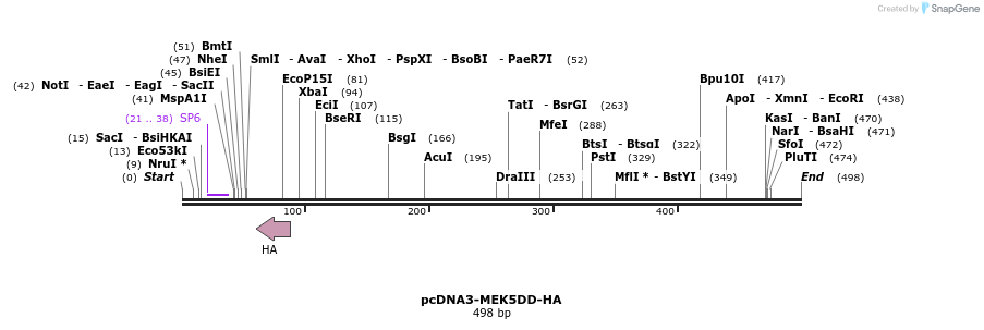 110421_map