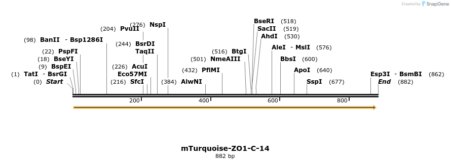 110429_map