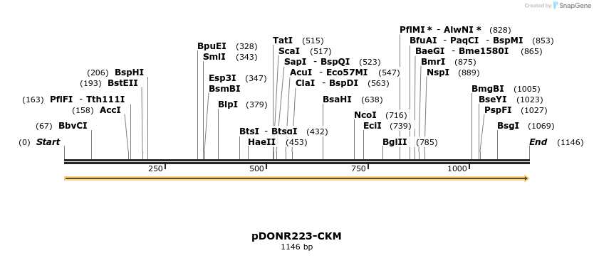 11043_map