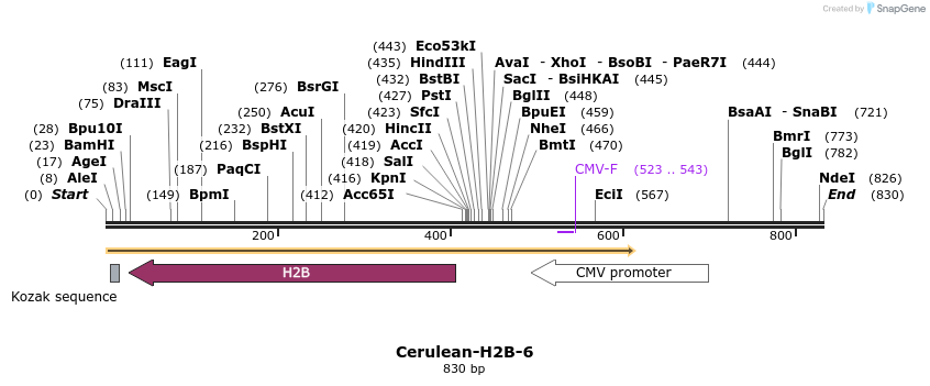 110434_map