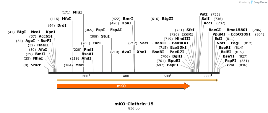110436_map