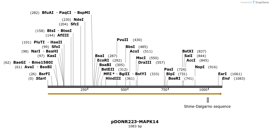 11044_map