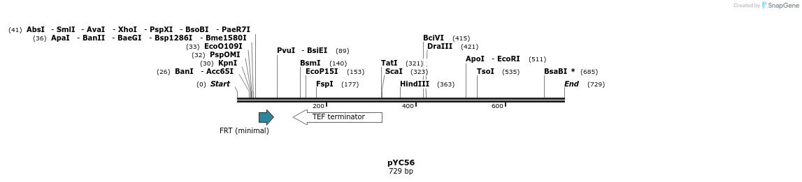 110445_map
