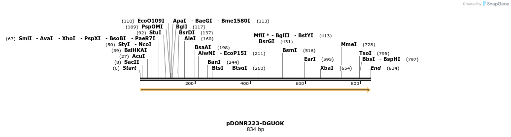 11045_map