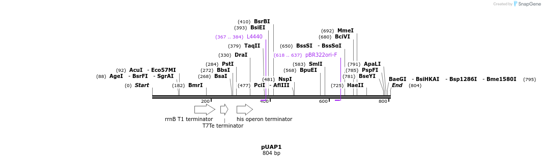 110451_map