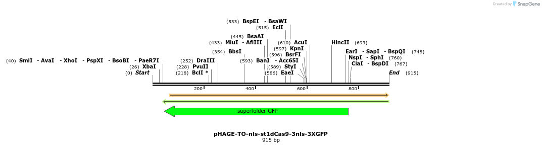 110453_map