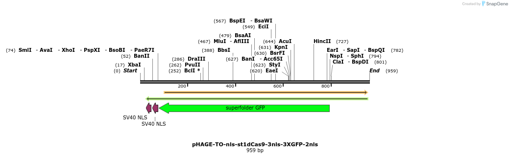 110454_map